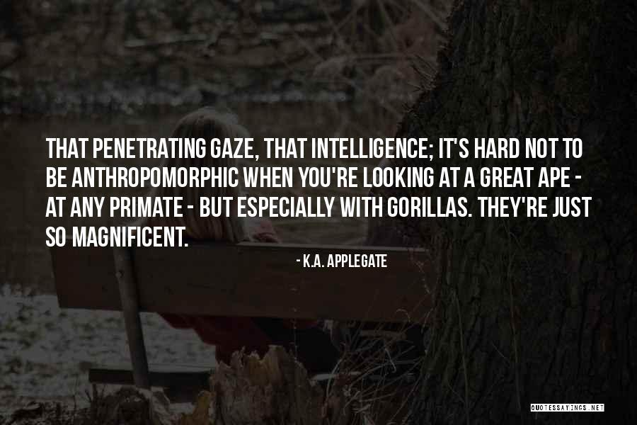 Ape Quotes By K.A. Applegate Ape Quotes By K.A. Applegate