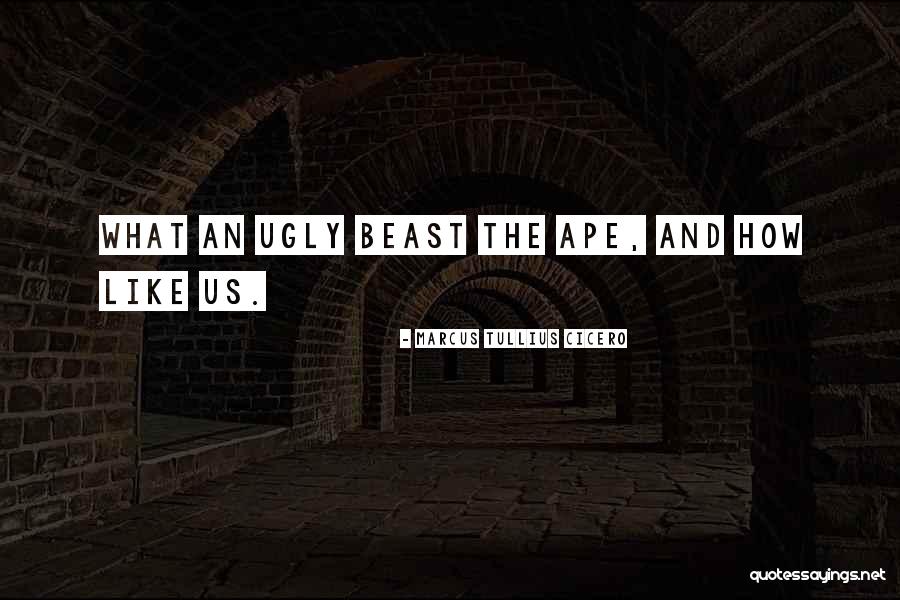 Ape Quotes By Marcus Tullius Cicero Ape Quotes By Marcus Tullius Cicero