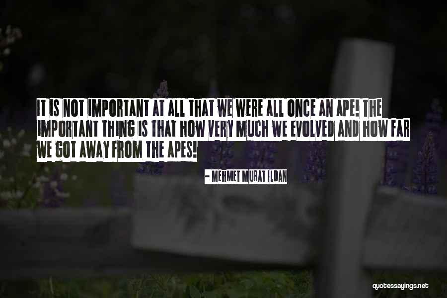 Ape Quotes By Mehmet Murat Ildan Ape Quotes By Mehmet Murat Ildan