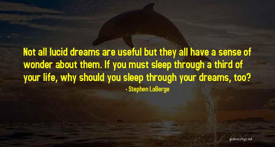 Apego Evitativo Quotes By Stephen LaBerge Apego Evitativo Quotes By Stephen LaBerge