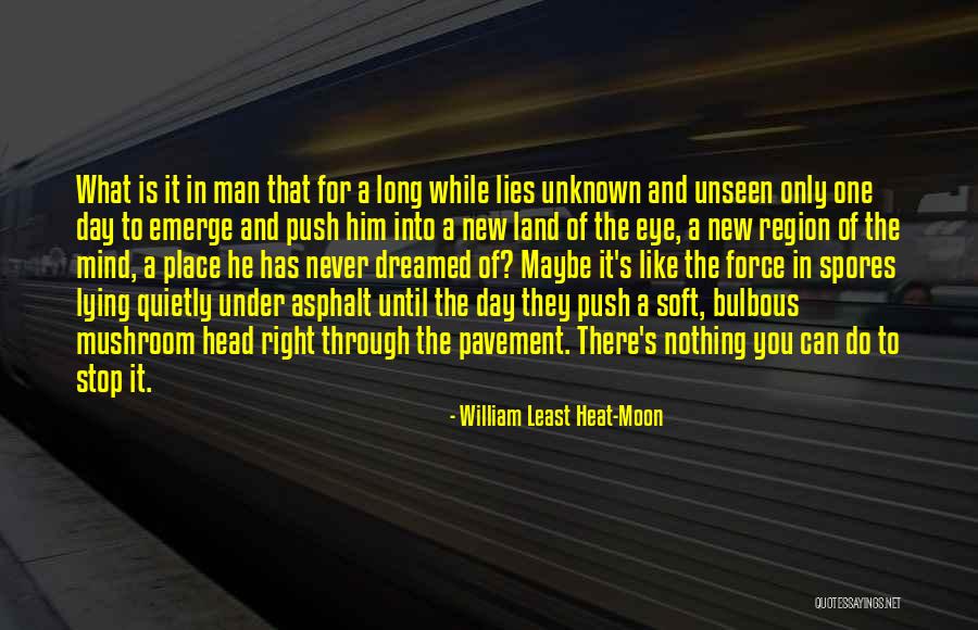Apego Evitativo Quotes By William Least Heat-Moon Apego Evitativo Quotes By William Least Heat-Moon