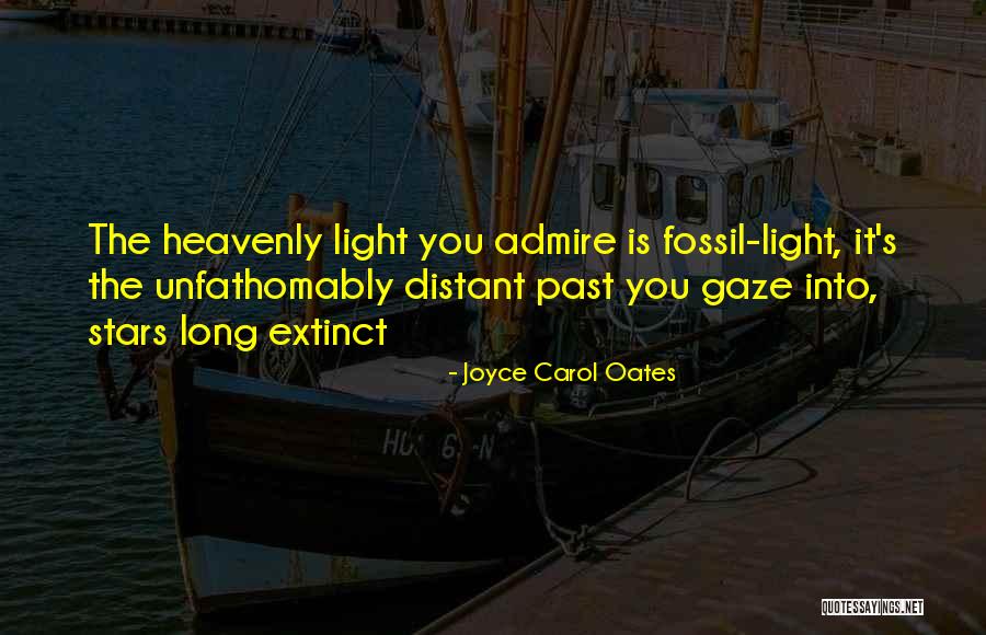Apelidos Quotes By Joyce Carol Oates Apelidos Quotes By Joyce Carol Oates