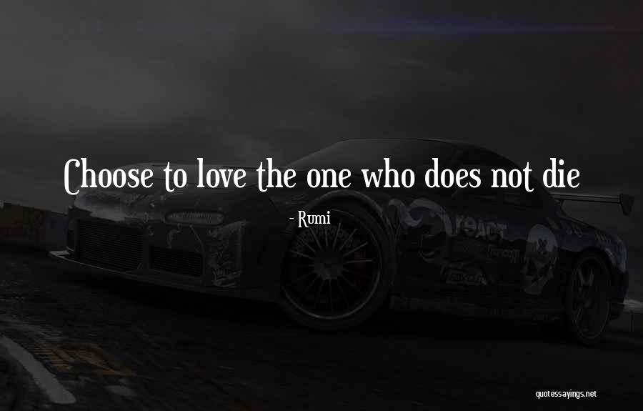 Apellidar Quotes By Rumi Apellidar Quotes By Rumi