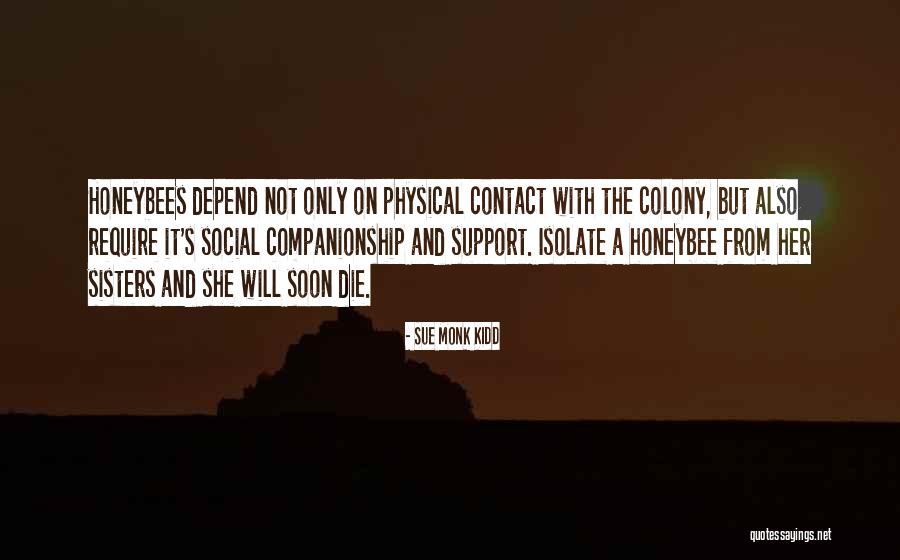 Apeman Quotes By Sue Monk Kidd Apeman Quotes By Sue Monk Kidd