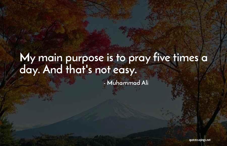 Apendice Humano Quotes By Muhammad Ali Apendice Humano Quotes By Muhammad Ali