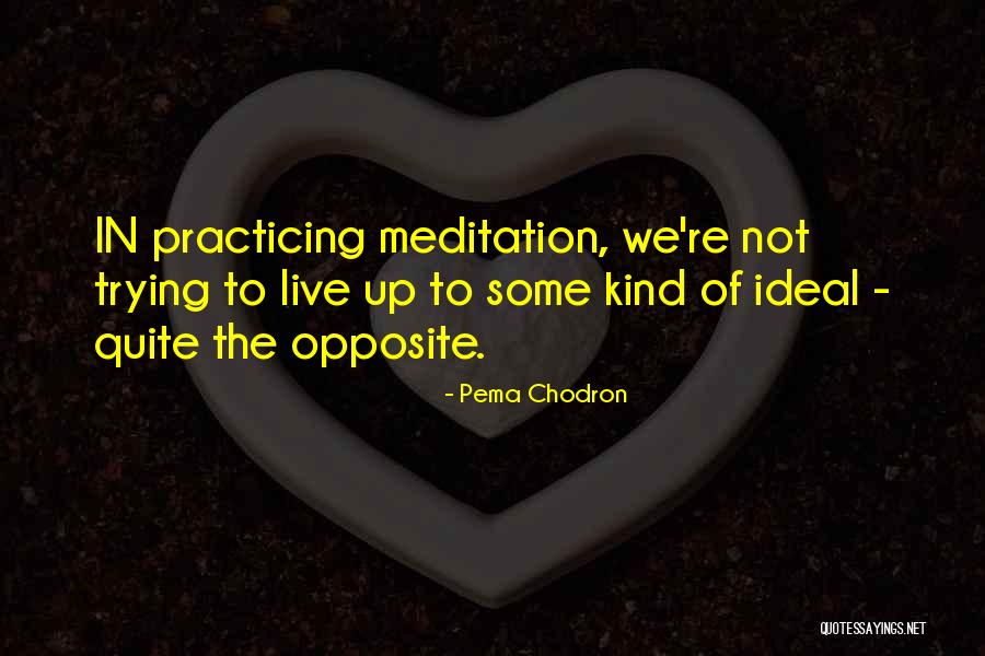 Aperitif Time Quotes By Pema Chodron Aperitif Time Quotes By Pema Chodron