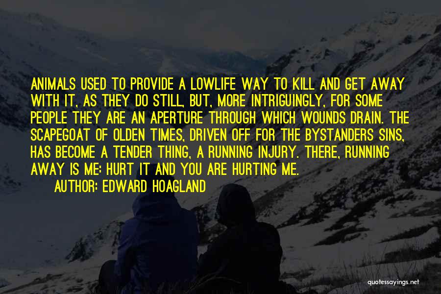 Aperture Quotes By Edward Hoagland