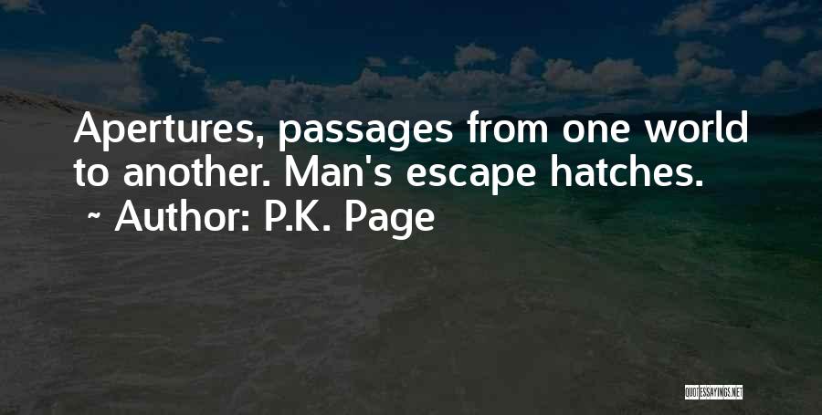 Aperture Quotes By P.K. Page