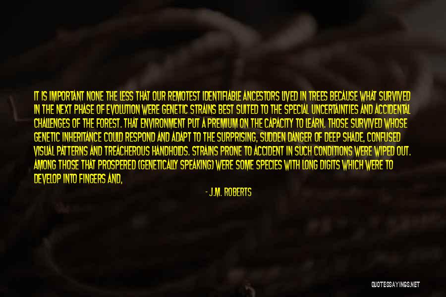 Apes Evolution Quotes By J.M. Roberts Apes Evolution Quotes By J.M. Roberts