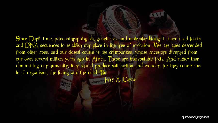 Apes Evolution Quotes By Jerry A. Coyne