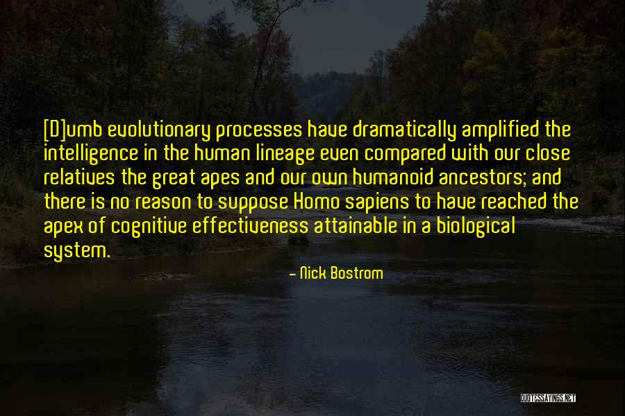 Apes Evolution Quotes By Nick Bostrom