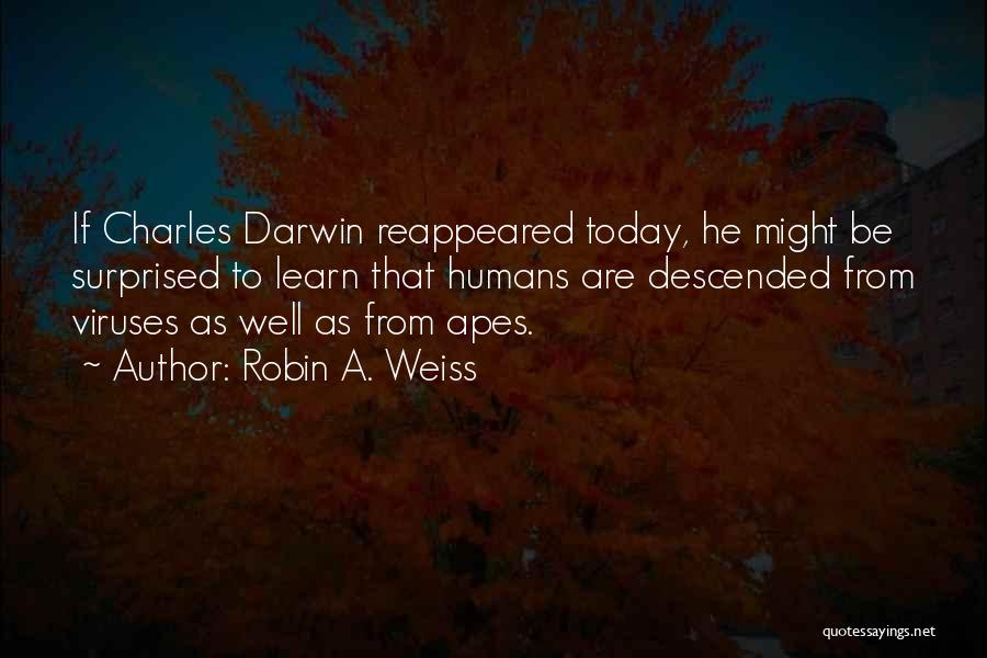 Apes Evolution Quotes By Robin A. Weiss