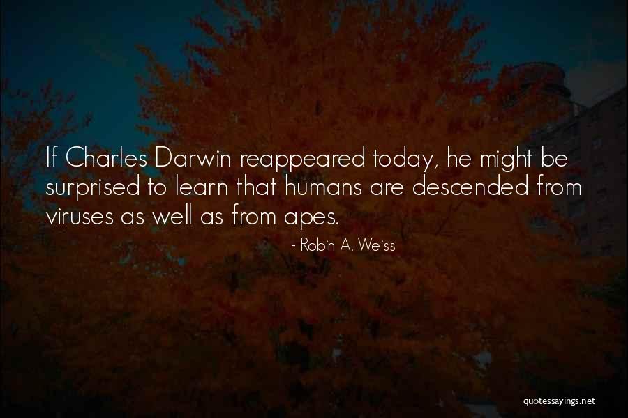 Apes Evolution Quotes By Robin A. Weiss