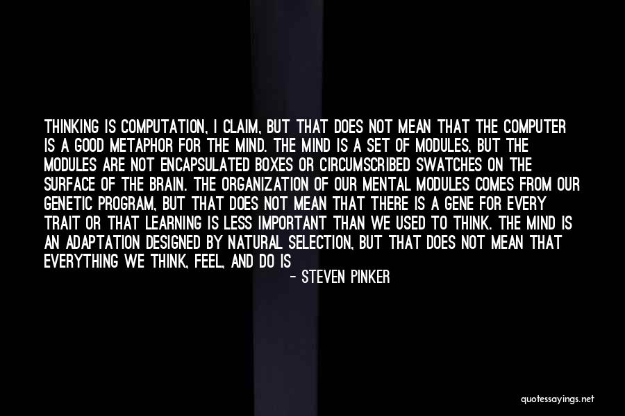 Apes Evolution Quotes By Steven Pinker