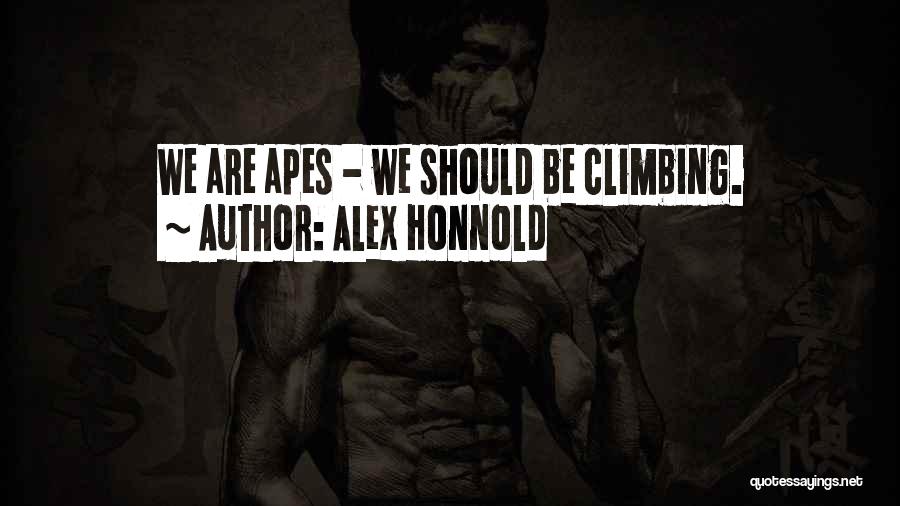 Apes Quotes By Alex Honnold