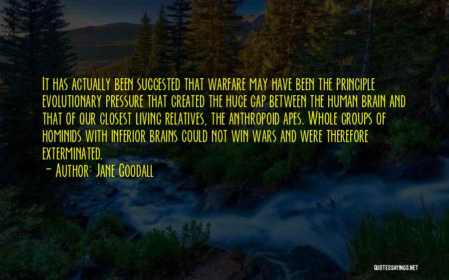 Apes Quotes By Jane Goodall