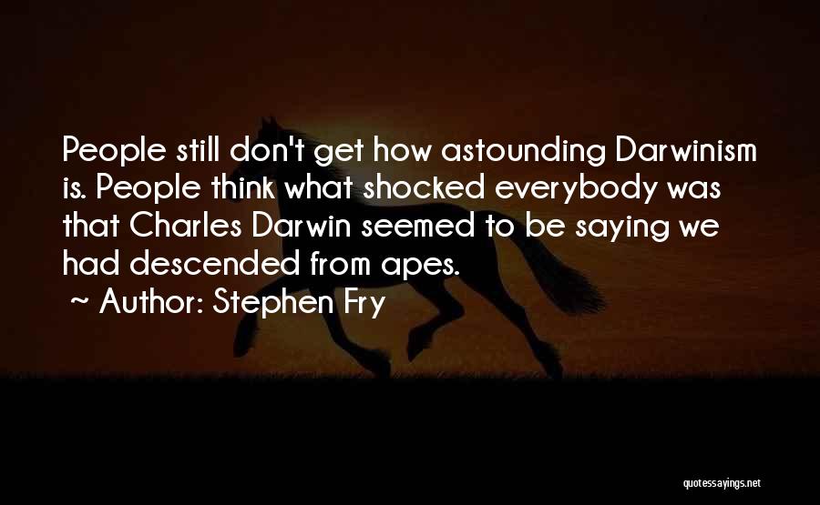 Apes Quotes By Stephen Fry