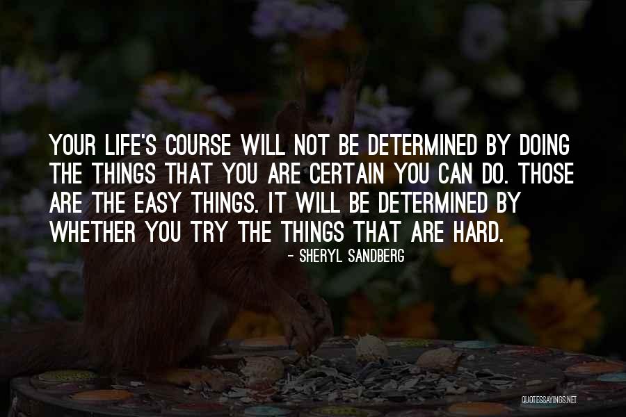 Apesar De Quotes By Sheryl Sandberg Apesar De Quotes By Sheryl Sandberg
