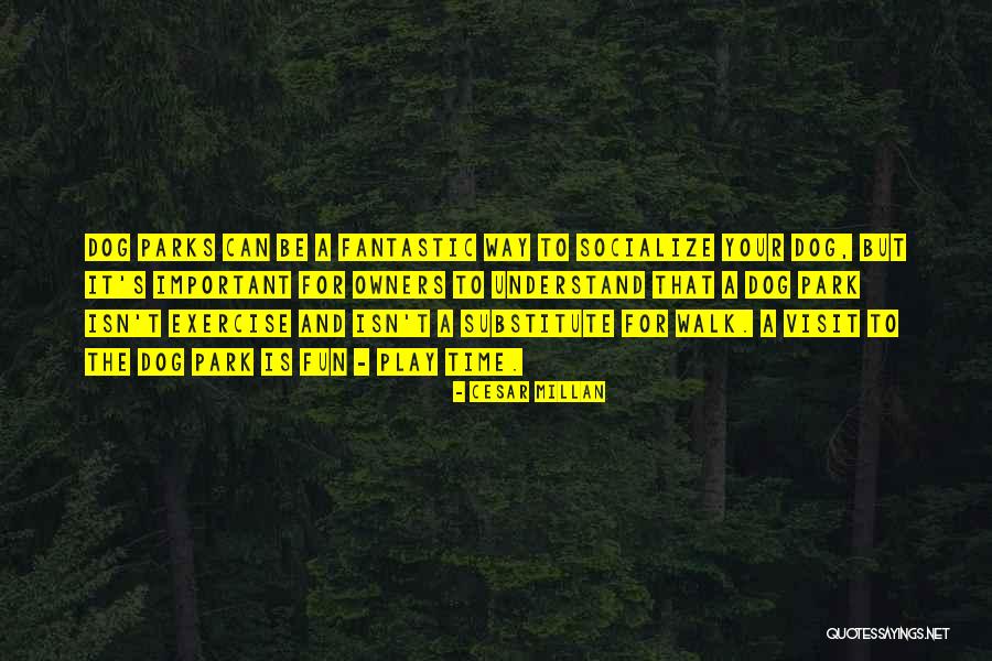 Apflzmfltmaktm Quotes By Cesar Millan Apflzmfltmaktm Quotes By Cesar Millan