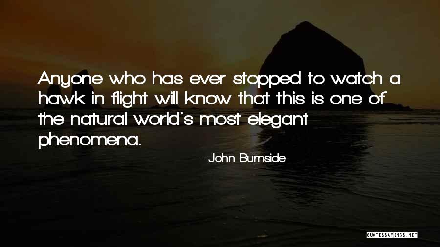 Aphids On Plants Quotes By John Burnside Aphids On Plants Quotes By John Burnside
