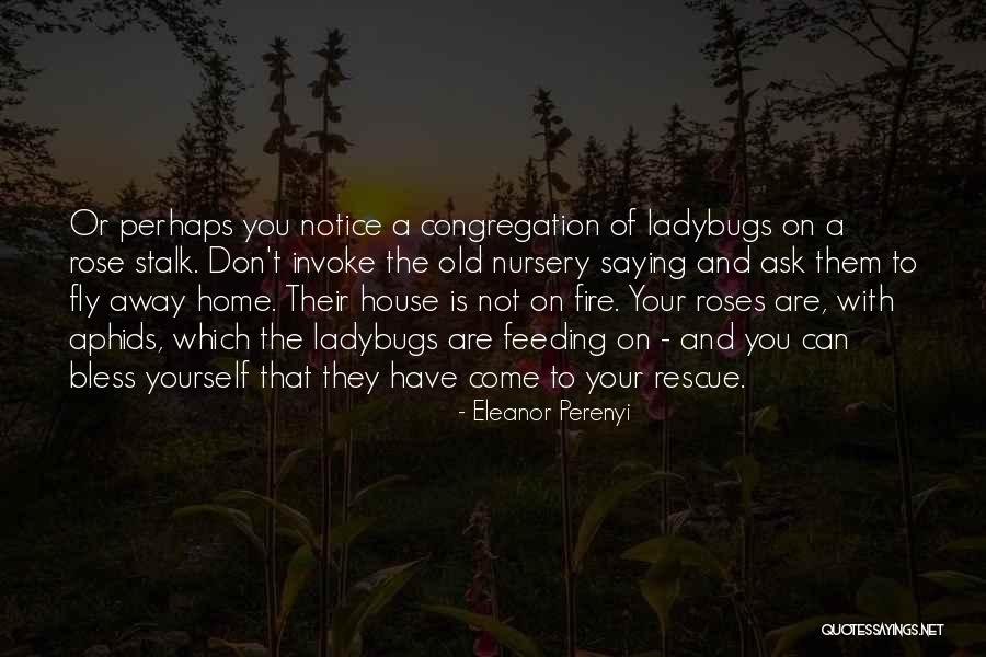 Aphids Quotes By Eleanor Perenyi