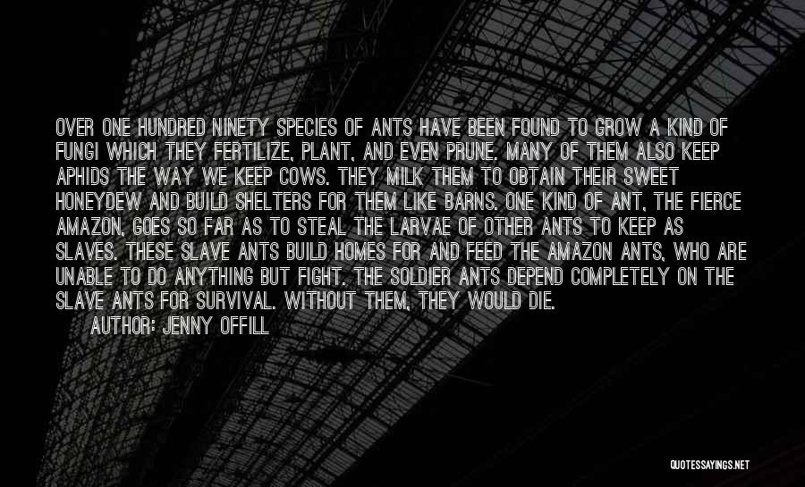 Aphids Quotes By Jenny Offill