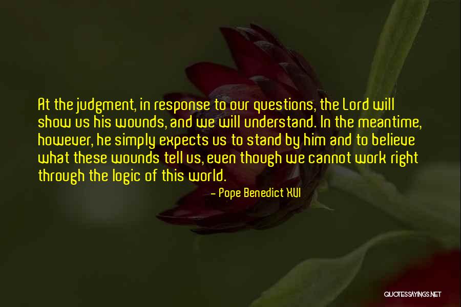 Aphis Pet Quotes By Pope Benedict XVI Aphis Pet Quotes By Pope Benedict XVI