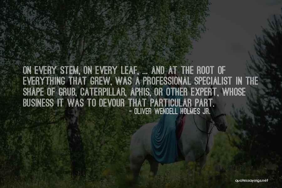 Aphis Quotes By Oliver Wendell Holmes Jr. Aphis Quotes By Oliver Wendell Holmes Jr.