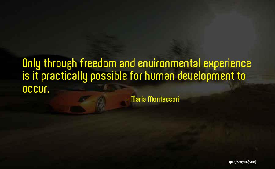 Apj Abdul Quotes By Maria Montessori Apj Abdul Quotes By Maria Montessori