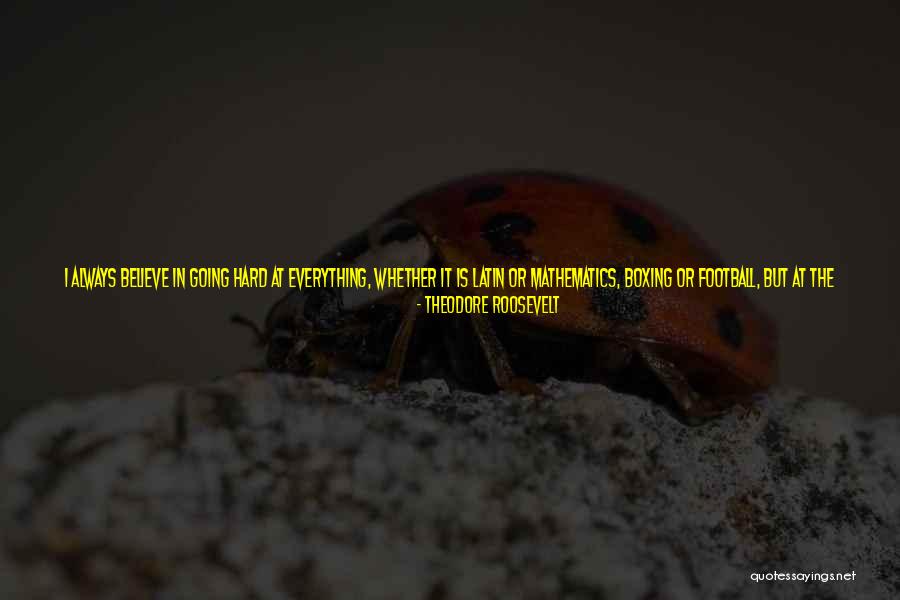 Apna Gaon Quotes By Theodore Roosevelt Apna Gaon Quotes By Theodore Roosevelt