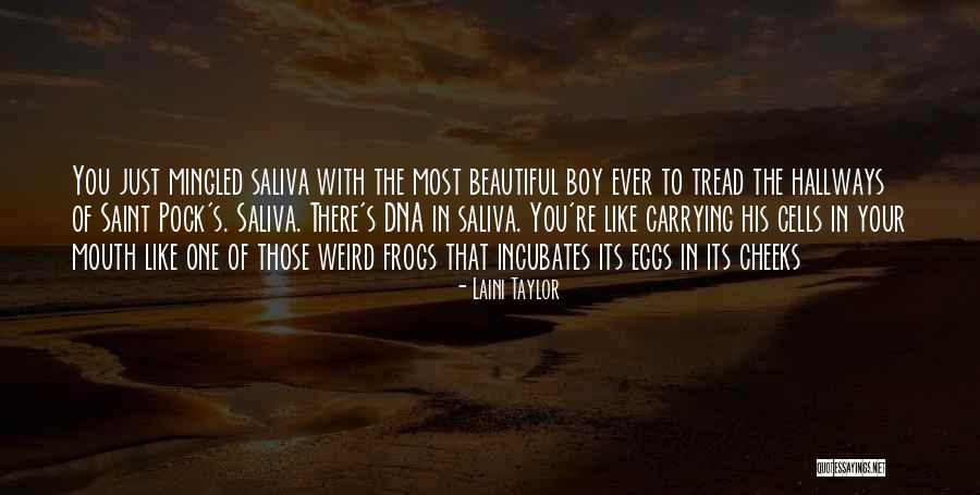 Apnea Diving Quotes By Laini Taylor Apnea Diving Quotes By Laini Taylor