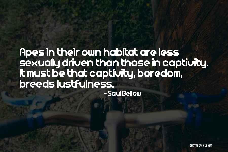 Apogee Physicians Quotes By Saul Bellow Apogee Physicians Quotes By Saul Bellow