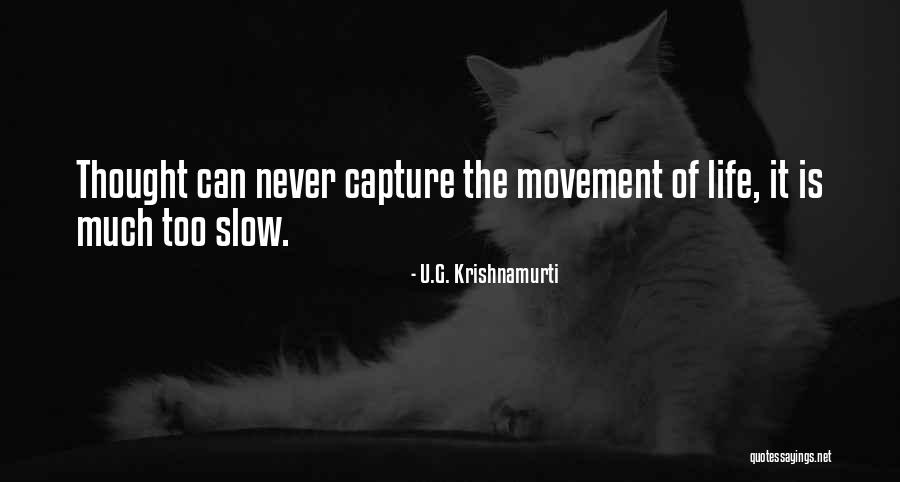 Apollinian Quotes By U.G. Krishnamurti Apollinian Quotes By U.G. Krishnamurti