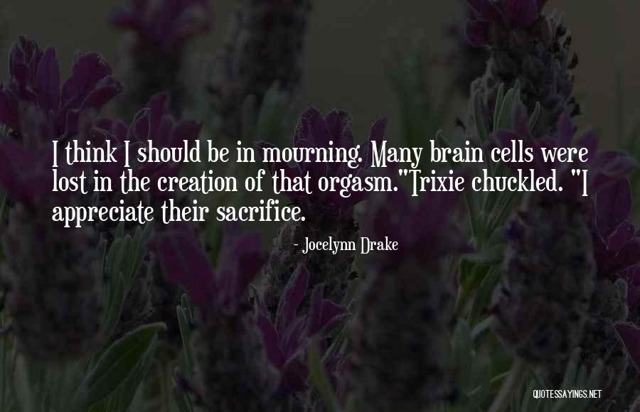 Apologies You Never Received Quotes By Jocelynn Drake Apologies You Never Received Quotes By Jocelynn Drake