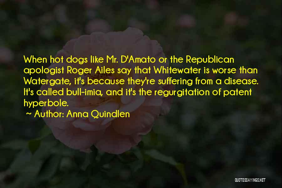 Apologist Quotes By Anna Quindlen