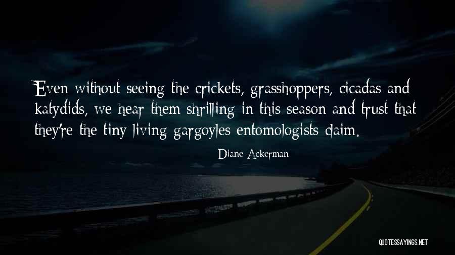 Apologiz Quotes By Diane Ackerman Apologiz Quotes By Diane Ackerman