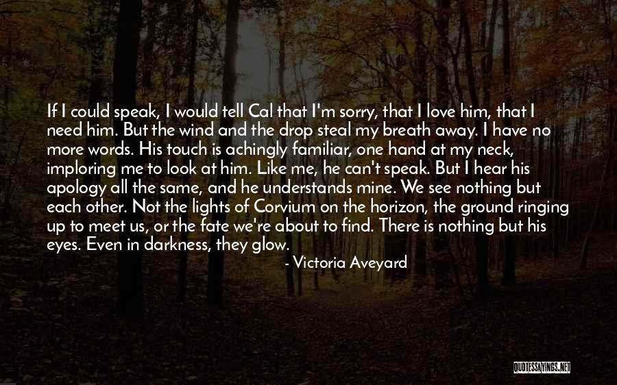 Apology Love Quotes By Victoria Aveyard Apology Love Quotes By Victoria Aveyard