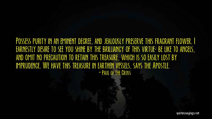 Apostle Paul Quotes By Paul Of The Cross