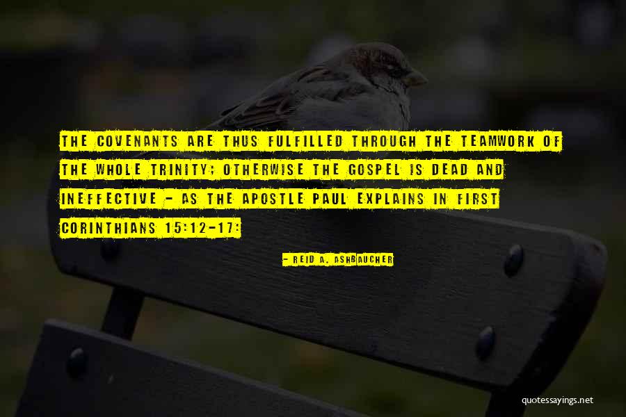 Apostle Paul Quotes By Reid A. Ashbaucher