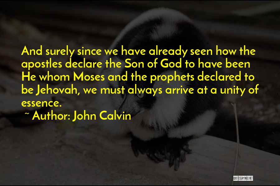 Apostles Quotes By John Calvin
