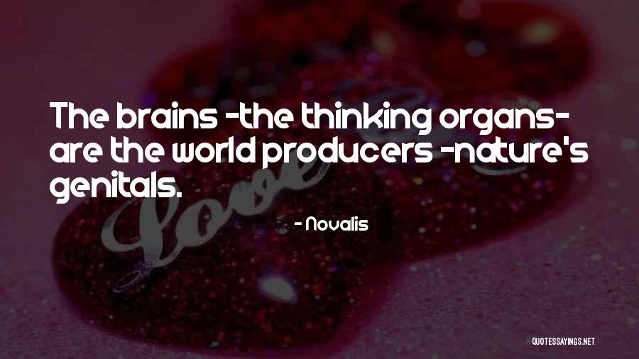 Apoyamos A Trump Quotes By Novalis Apoyamos A Trump Quotes By Novalis