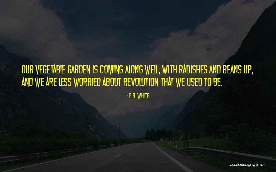App Para Fazer Quotes By E.B. White App Para Fazer Quotes By E.B. White