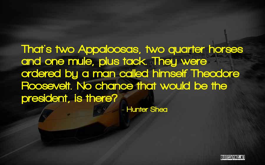 Appaloosas Horses Quotes By Hunter Shea Appaloosas Horses Quotes By Hunter Shea