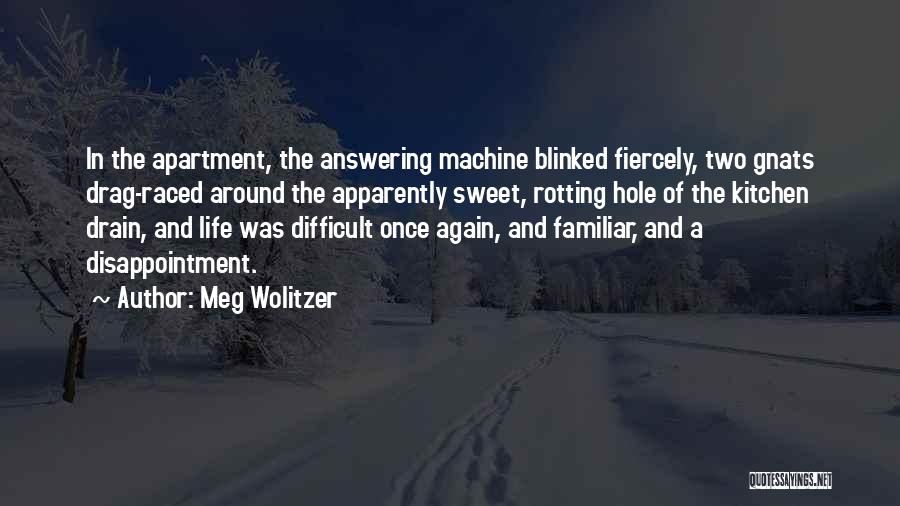 Apparently Life Quotes By Meg Wolitzer