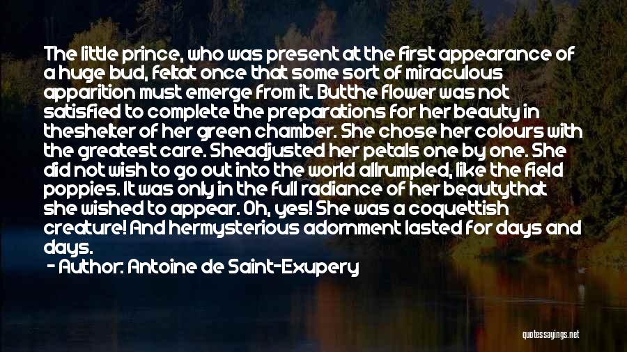 Apparition Quotes By Antoine De Saint-Exupery