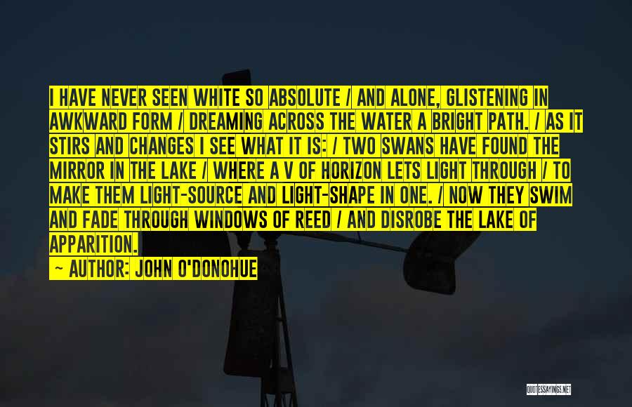 Apparition Quotes By John O'Donohue