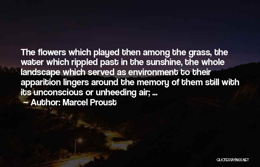 Apparition Quotes By Marcel Proust