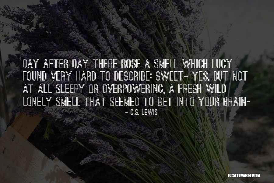 Appartenance En Quotes By C.S. Lewis Appartenance En Quotes By C.S. Lewis