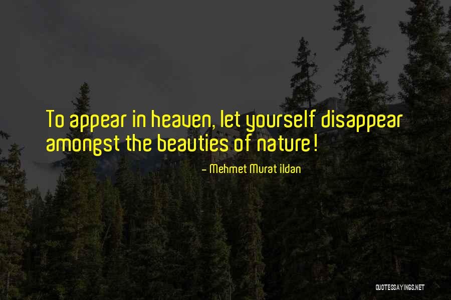 Appear Disappear Quotes By Mehmet Murat Ildan
