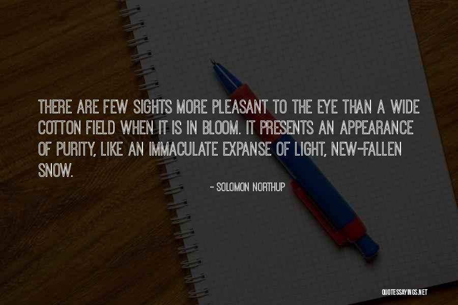 Appearance Of Quotes By Solomon Northup